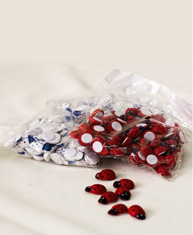 50 li Paket Yapışkanlı Uğur Böceği
